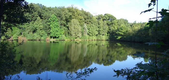 Schöne Aussicht in Lemgo, Foto 11