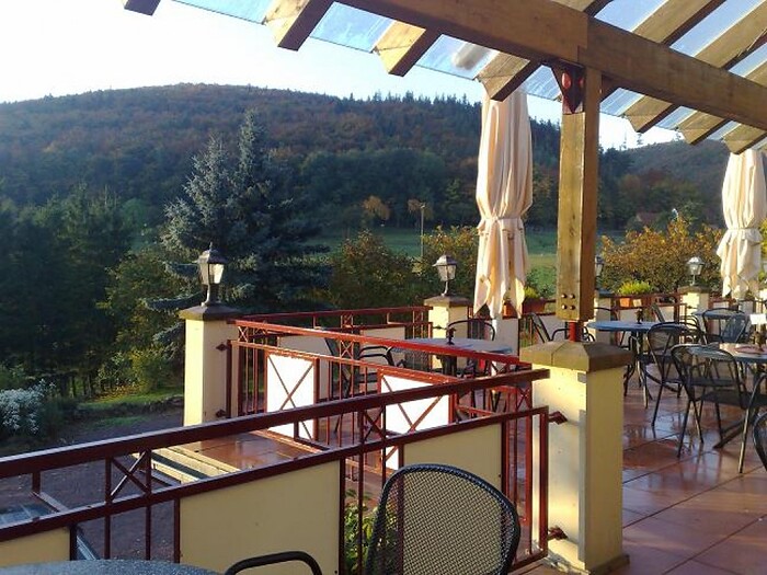 Hotel Restaurant Bastenhaus in Dannenfels, Foto 3
