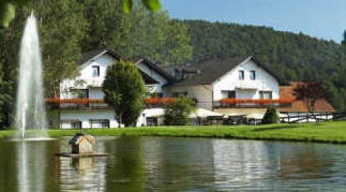 Hotel Pappelhof in Weidenbach, Foto 6