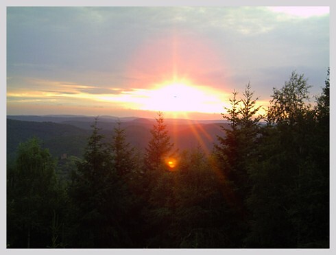 Zum goldenen Lamm in Ramberg, Foto 4