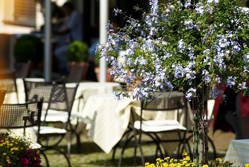 Hotel Sonne in Kirchzarten, Foto 3