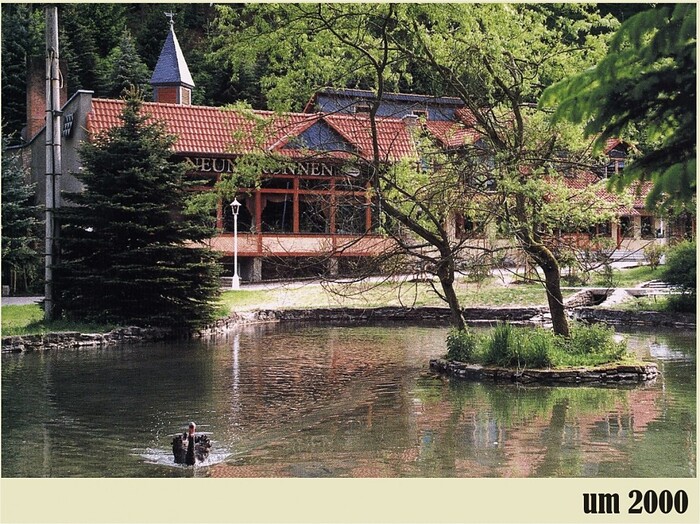 Restaurant Neun Brunnen Erholungspark in Heilbad Heiligenstadt