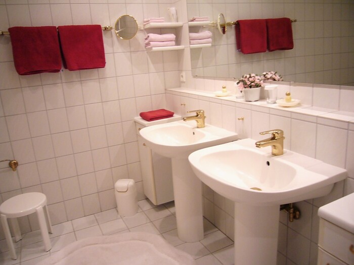 Der Schwan in Einbeck, Foto 7