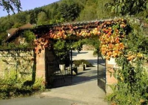 Restaurant Buschmühle in Burrweiler