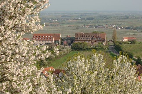 Restaurant Leinsweiler Hof in Leinsweiler