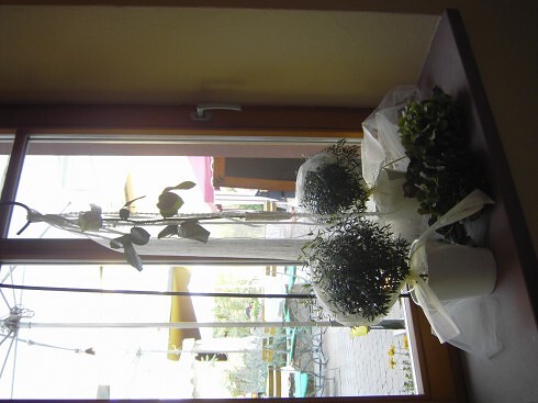 Restaurant Weingut Sonnenhof in Bockenheim