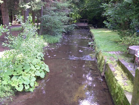 Landgasthof Daubiansmühle in Schuld, Foto 6