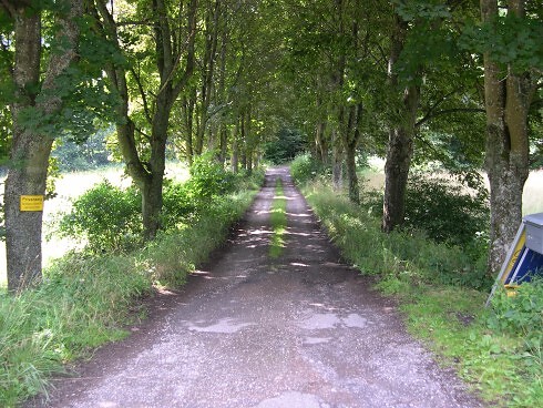 Landgasthof Daubiansmühle in Schuld, Foto 5