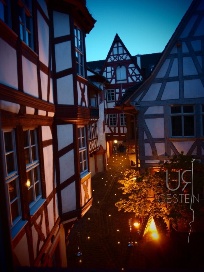 Restaurant Urgestein im Steinhäuser Hof  in Neustadt an der Weinstraße, Foto 9