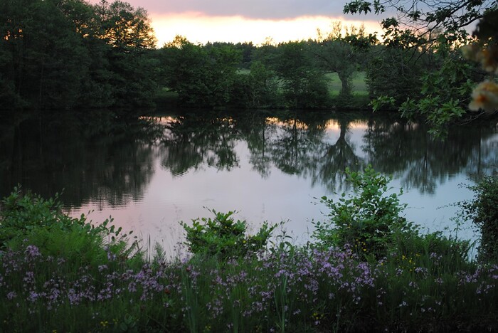 Landhotel Seelust in Hennstedt, Foto 13
