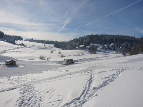 Hotel Gasthof Schwarzwaldtanne in Schönwald, Foto 3