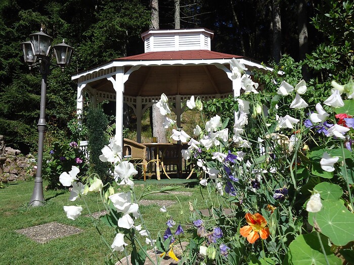 Hotel Langenwaldsee in Freudenstadt, Foto 7