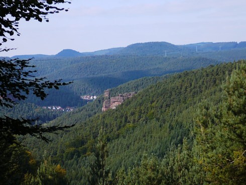 Landgasthof - Hotel Zum Ochsen  in Hauenstein, Foto 4