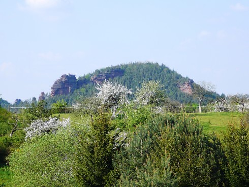 Landgasthof - Hotel Zum Ochsen  in Hauenstein, Foto 2