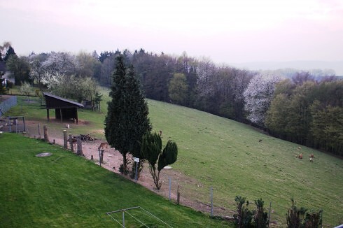 Paganetti´s Landgasthof Zur Erholung in Breitscheid, Foto 16