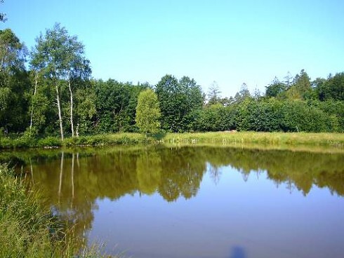 Gasthaus Pension zum Brandweiher in Amorbach, Foto 1