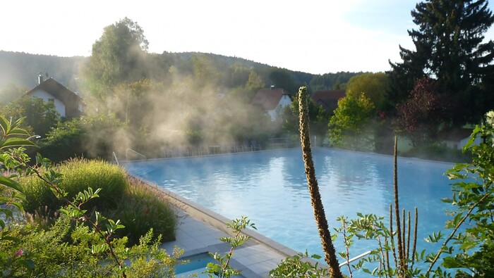 Ringhotel Siegfriedbrunnen in Grasellenbach, Foto 10