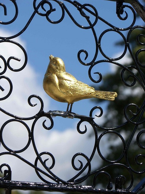 Die Nachtigall in Oberschlettenbach, Foto 10