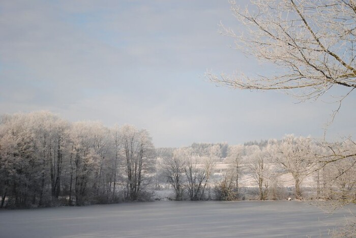 Landhotel Seelust in Hennstedt, Foto 3