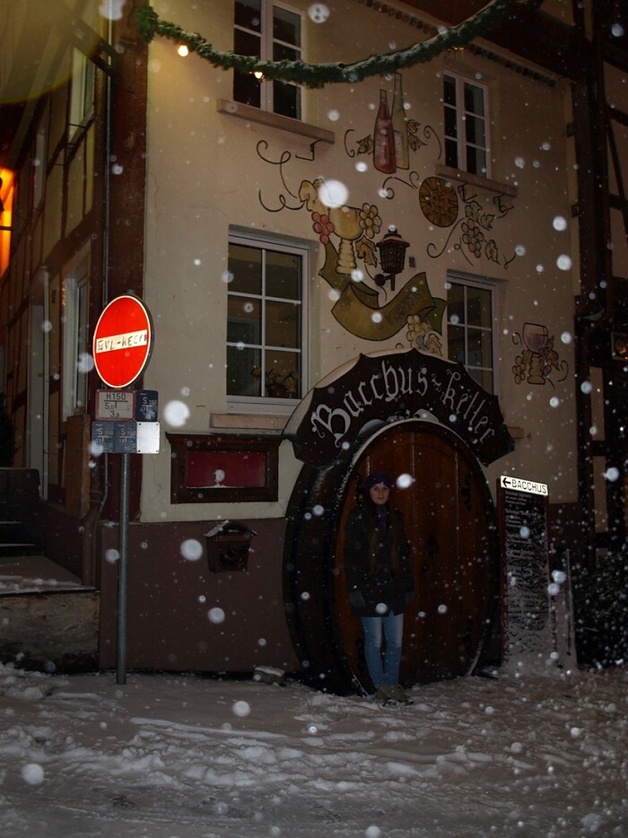 Restaurant Bacchus Keller in Linz am Rhein