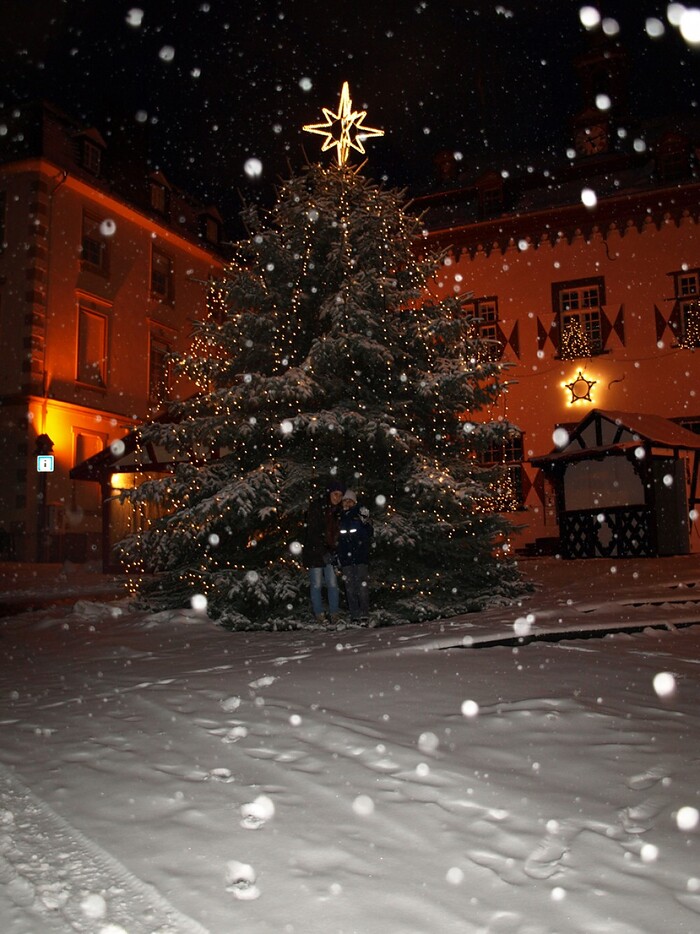 Bacchus Keller in Linz am Rhein, Foto 2