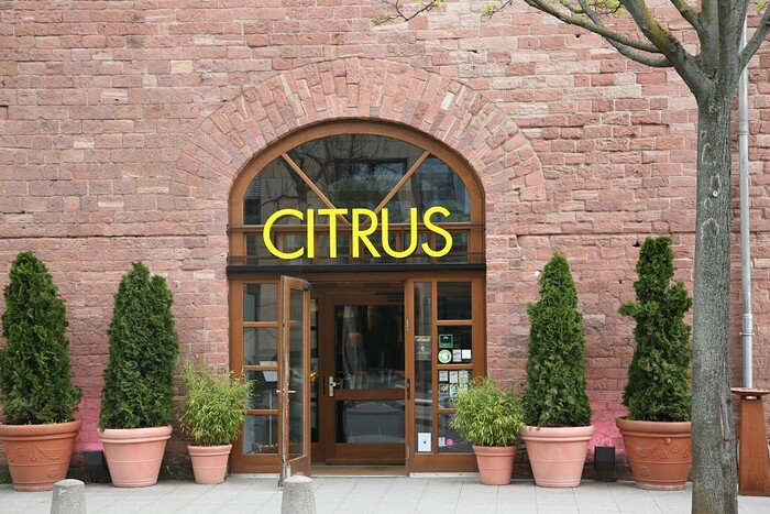 Citrus Bar & Restaurant in Mainz