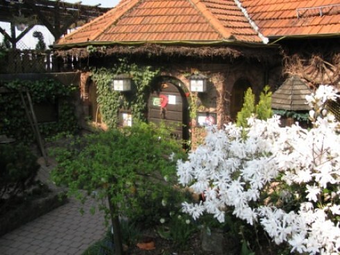 Hotel Engel in Limbach