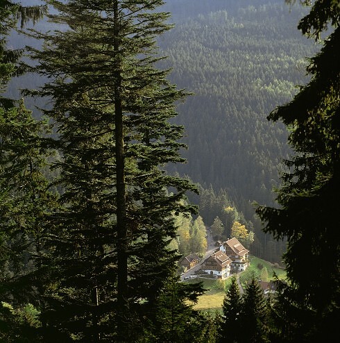 Forsthaus Auerhahn in Baiersbronn, Foto 1