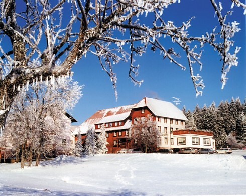 Restaurant Höhengasthof Adler in Lauterbach