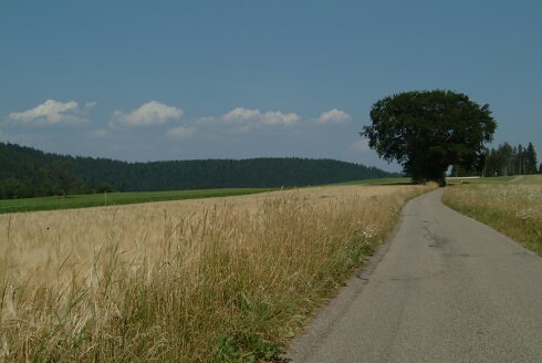 Höhengasthof Adler in Lauterbach, Foto 6
