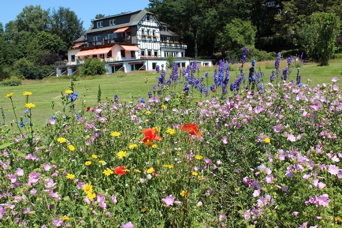 Landhotel Gasthof Hubertus in Schmallenberg, Foto 5