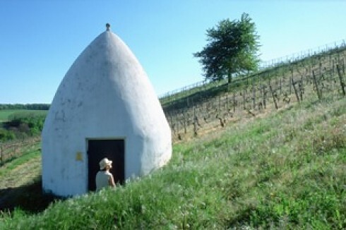 Weinrestaurant Espenhof in Flonheim-Uffhofen, Foto 8