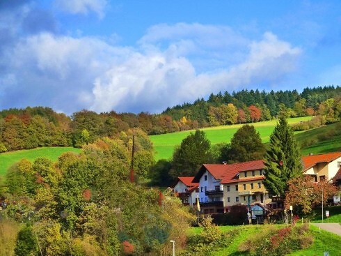 Zur Krone in Beerfelden, Foto 11