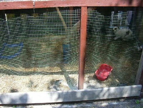Biergarten Rödehof in Roßdorf, Foto 9