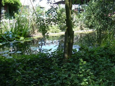 Biergarten Rödehof in Roßdorf, Foto 11
