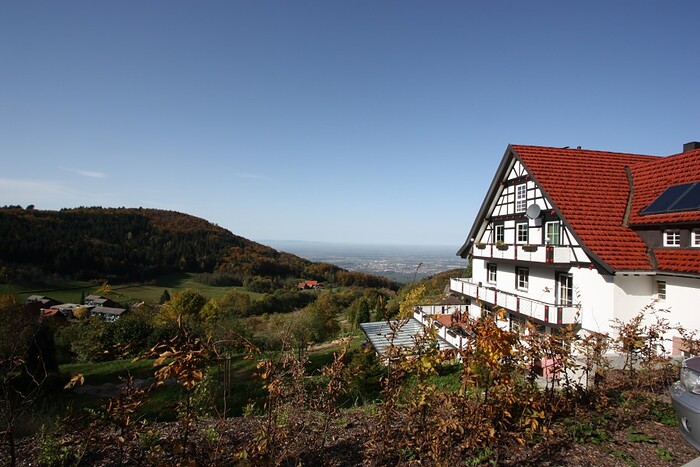 Restaurant Grüner Baum - Brandmatt in Sasbachwalden