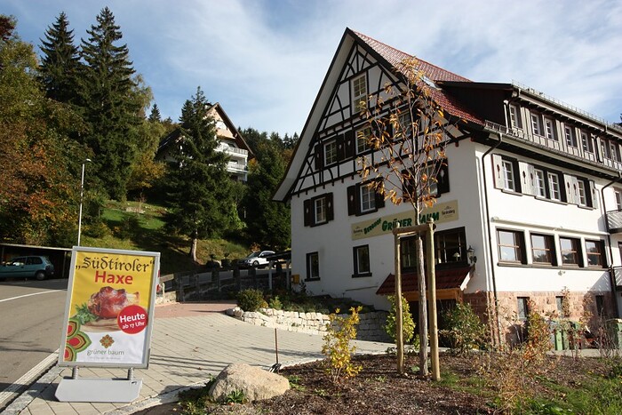 Grüner Baum - Brandmatt in Sasbachwalden, Foto 5