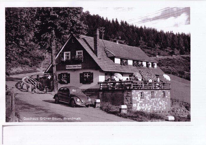 Grüner Baum - Brandmatt in Sasbachwalden, Foto 1
