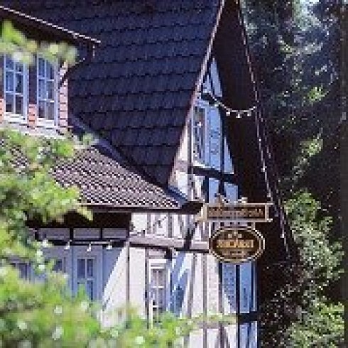 Alte Bergmühle in Dreieich, Foto 12