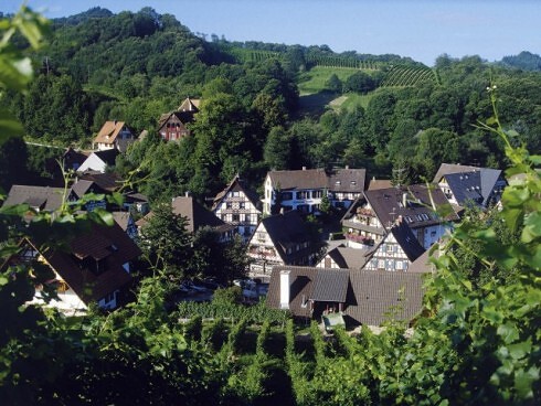 Bel Air Hotel Forsthof in Sasbachwalden, Foto 6