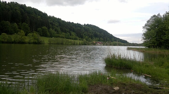 gasthaus wiesweber in Bad Heilbrunn, Foto 10