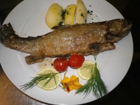 Zum Schardhof in Grasellenbach, Foto 18
