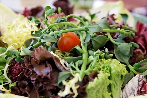 cadadia - Feine Suppen & Catering in Berlin, Foto 4