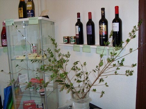 Gasthaus zur Birke in Kirchzarten, Foto 8