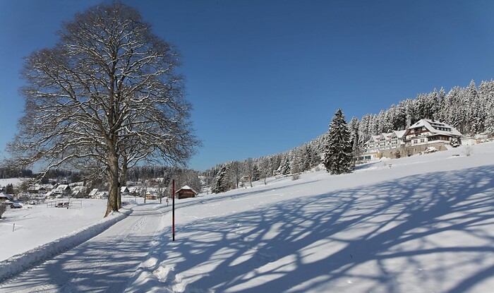Sport- und Ferienhotel Sonnhalde in Lenzkirch, Foto 3