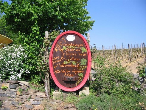 Försters Weinterrassen (Weingut Försterhof) in Bad Neuenahr-Ahrweiler, Foto 7