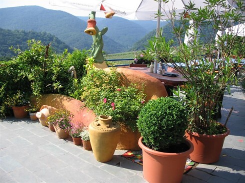 Försters Weinterrassen (Weingut Försterhof) in Bad Neuenahr-Ahrweiler, Foto 5