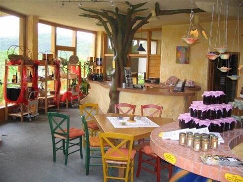 Försters Weinterrassen (Weingut Försterhof) in Bad Neuenahr-Ahrweiler, Foto 3