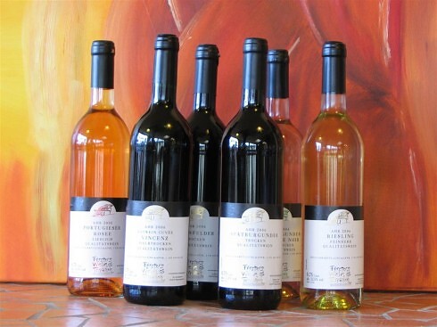 Försters Weinterrassen (Weingut Försterhof) in Bad Neuenahr-Ahrweiler, Foto 2