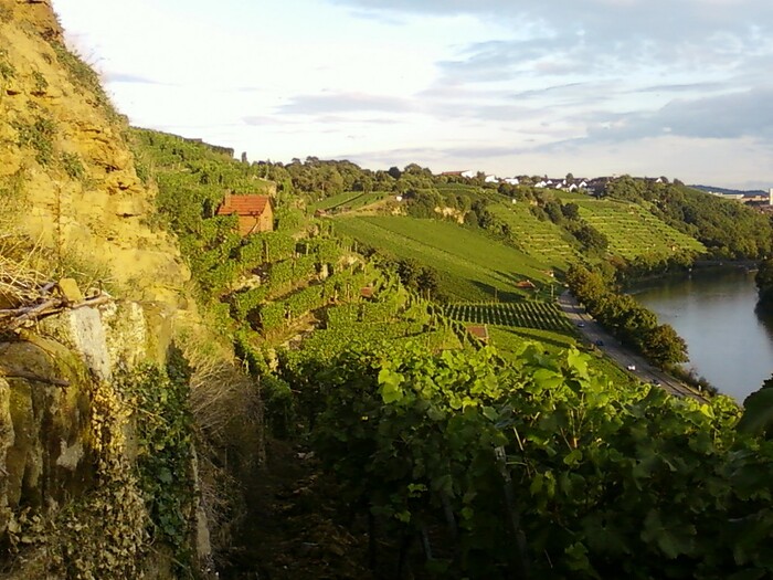 Mühlhäuser Stallbesen in Stuttgart, Foto 2